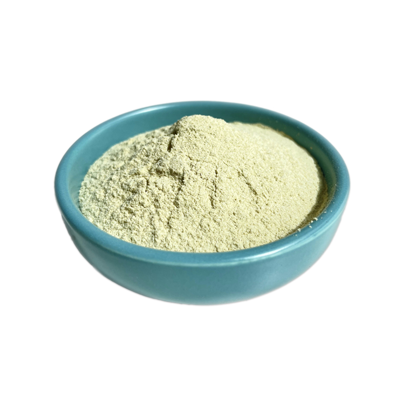 100% Natural Celery Extract Freeze Dried Vegetables Celery Extract Powder Celery Powder Factory Supply 98% Apigenin
