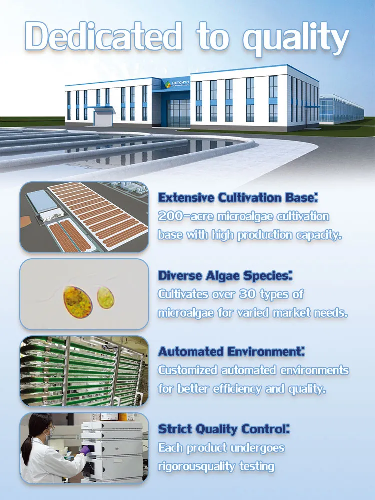 High Quality Nutraceuticals High 9-Cis 5% Beta-Carotene Extract From Dunaliella Salina