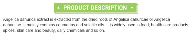 Angelica Dahurica Extract 2