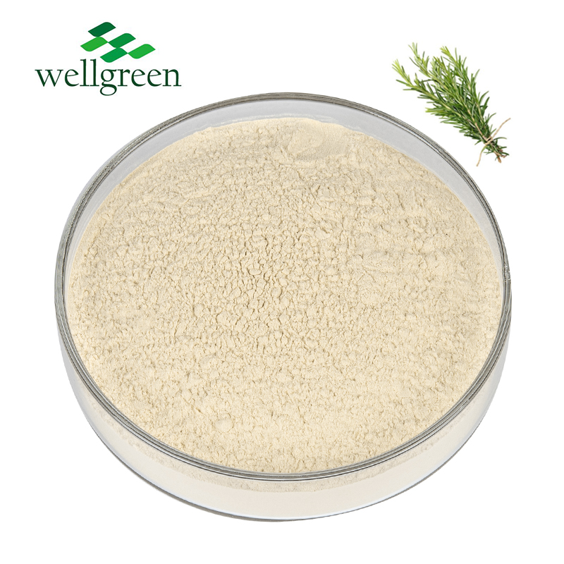Rosemary Extract Spec Details
