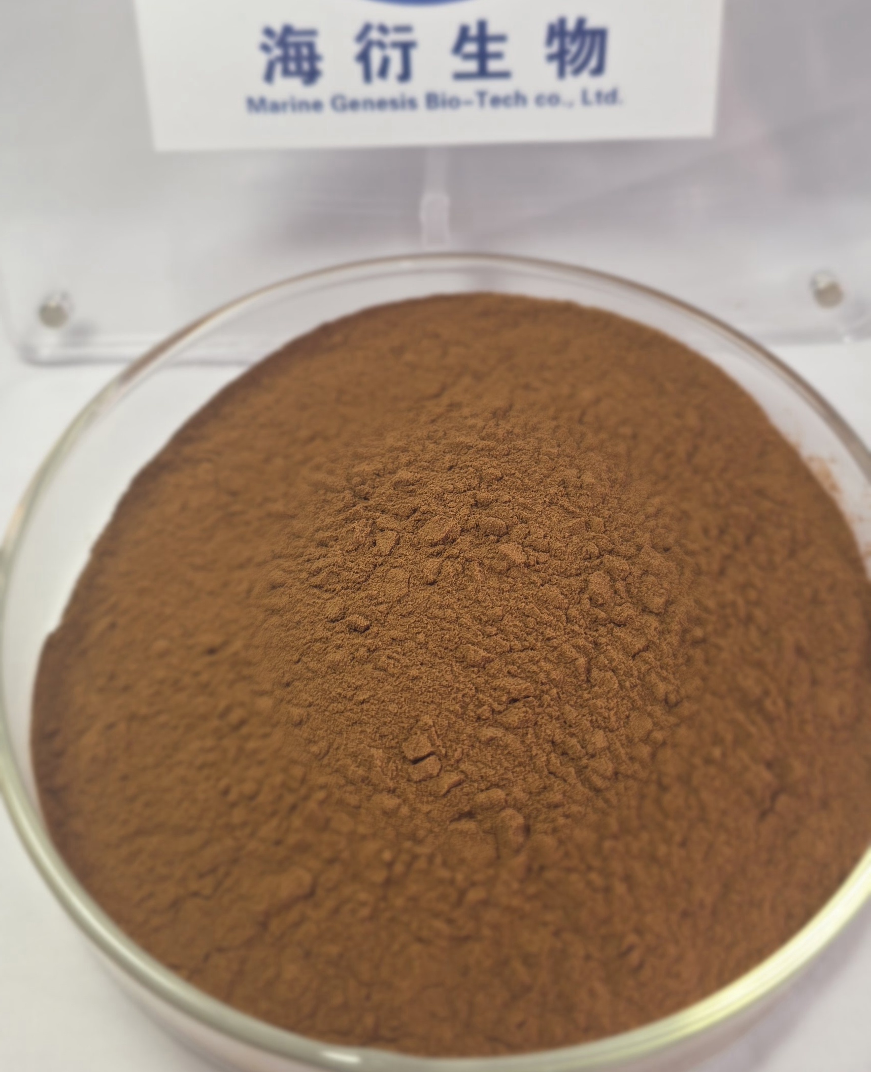 Organic Natural Plant Extracts Caffeine Free Salvia Miltiorrhiza Extract 5% Salvia Root Powder Antioxidant Adult Customisable