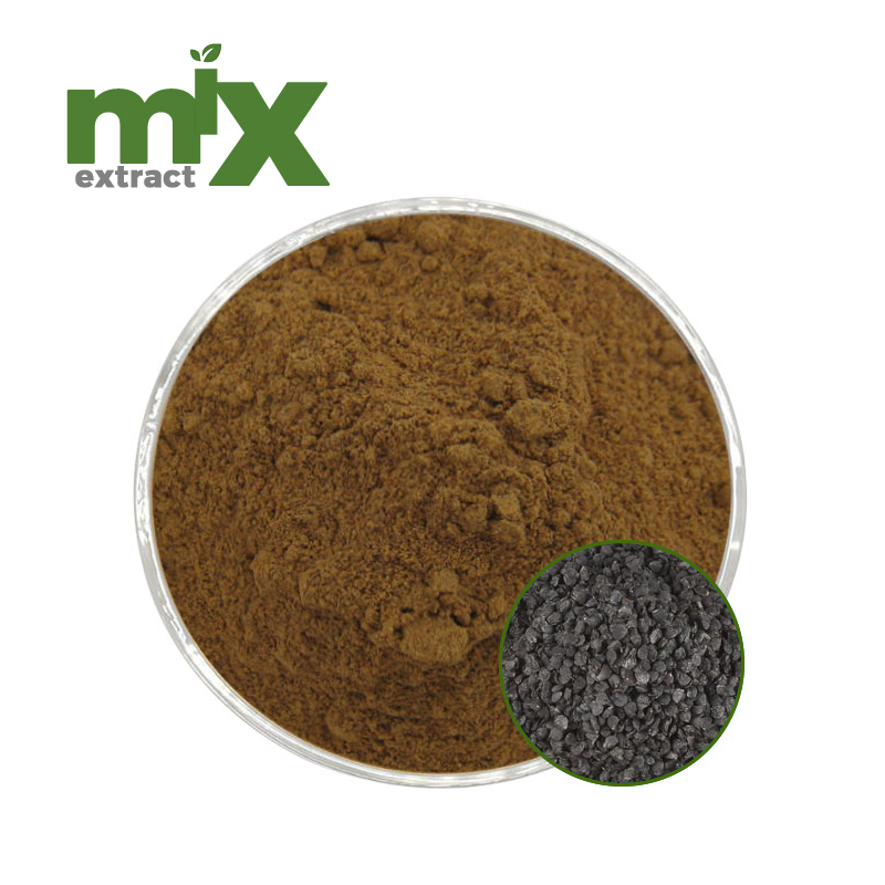 High Quality Chinese Chive Seed Extract 10:1 20:1 30:1 50:1 MOQ1kg Food Grade Water Soluble Total Saponins