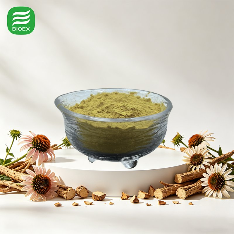 High Quality Echinacea Extract 7% Polyphenols by HPLC for Nutraceutical Production