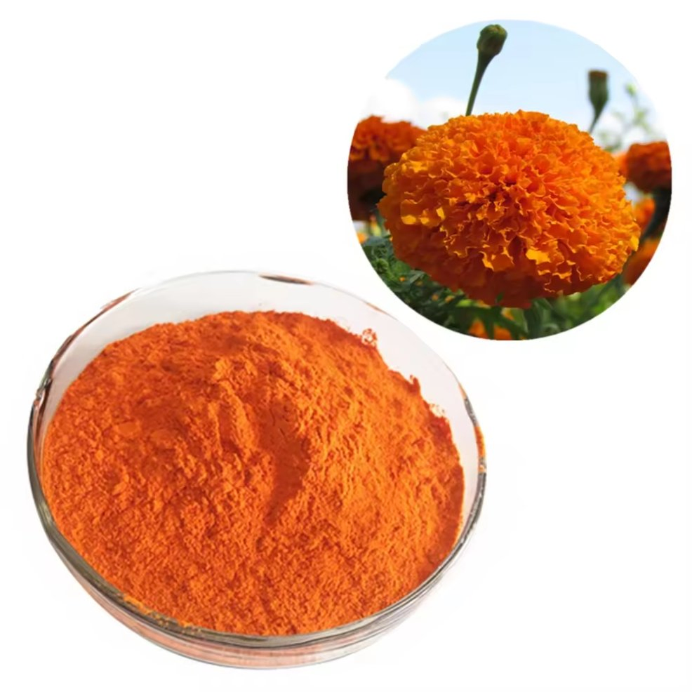 Zeaxanthin Wholesale Price Artificial Plant Seeds Flowers Lutein Zeaxanthin Marigold Flower Extract
