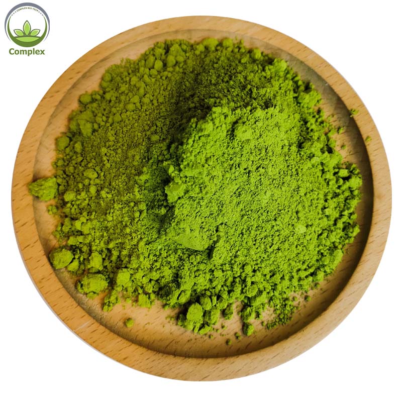 Supply High Quality Food Grade Natural Wormwood Leaf Extract Powder