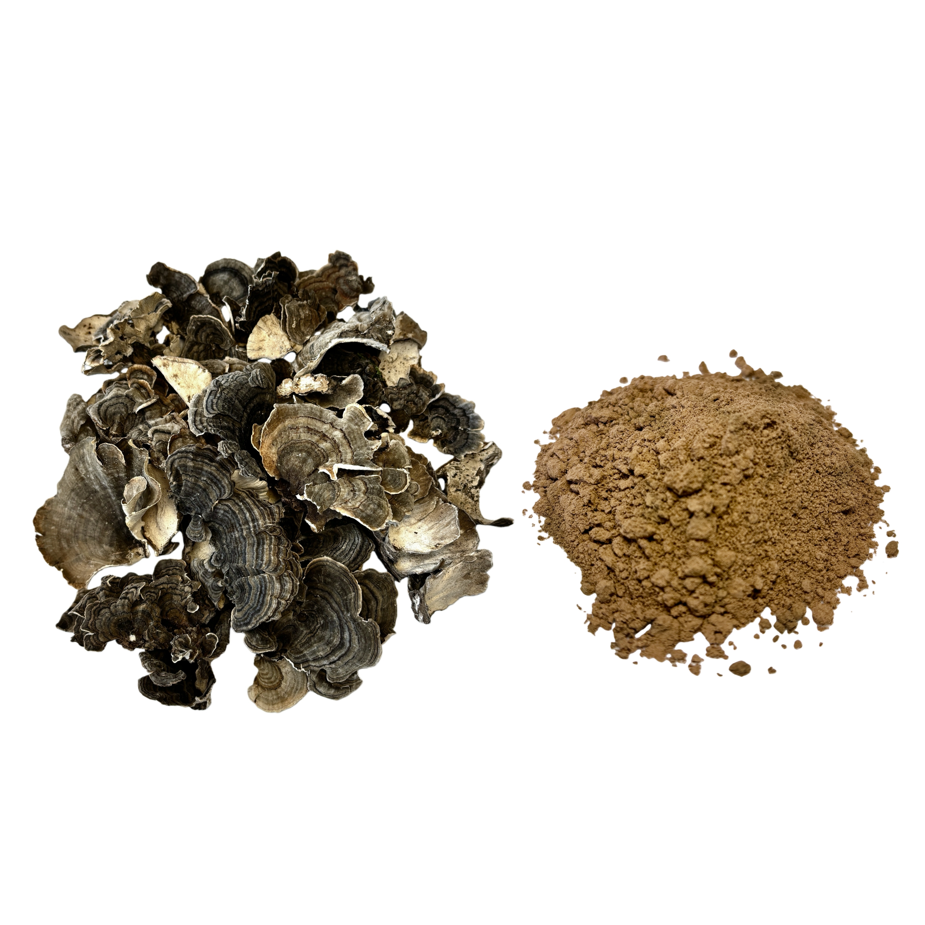100% Water Soluble Turkey Tail Mushroom Extract Powder 30% Polysaccharides