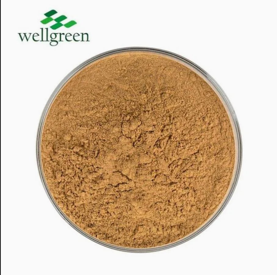 Standardized Oyster Mushroom Extract for Immune &amp; Metabolic Health Support (Pleurotus Ostreatus Extract)