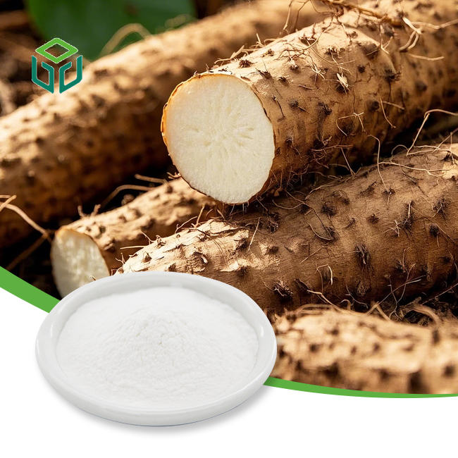 Plant Extract Dioscorea Opposite P.E. Wild Yam Root Extract Dioscin