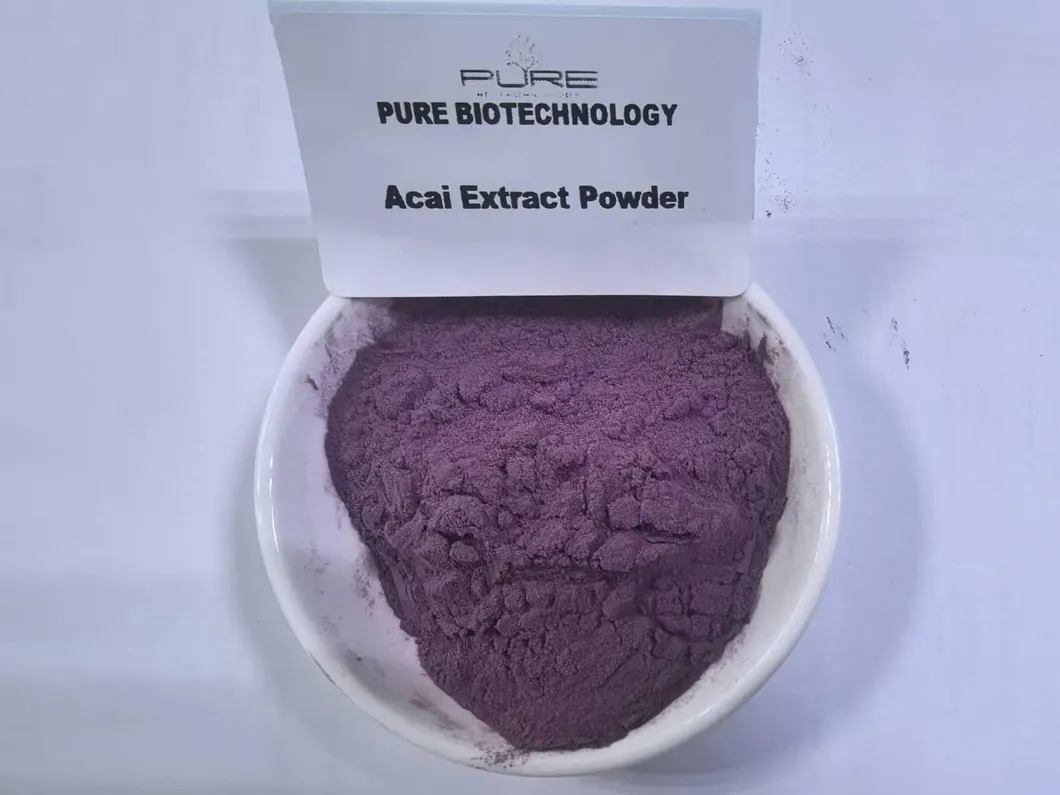 Acai Extract Powder: Organic Plant Extract for Nutraceutical Applications