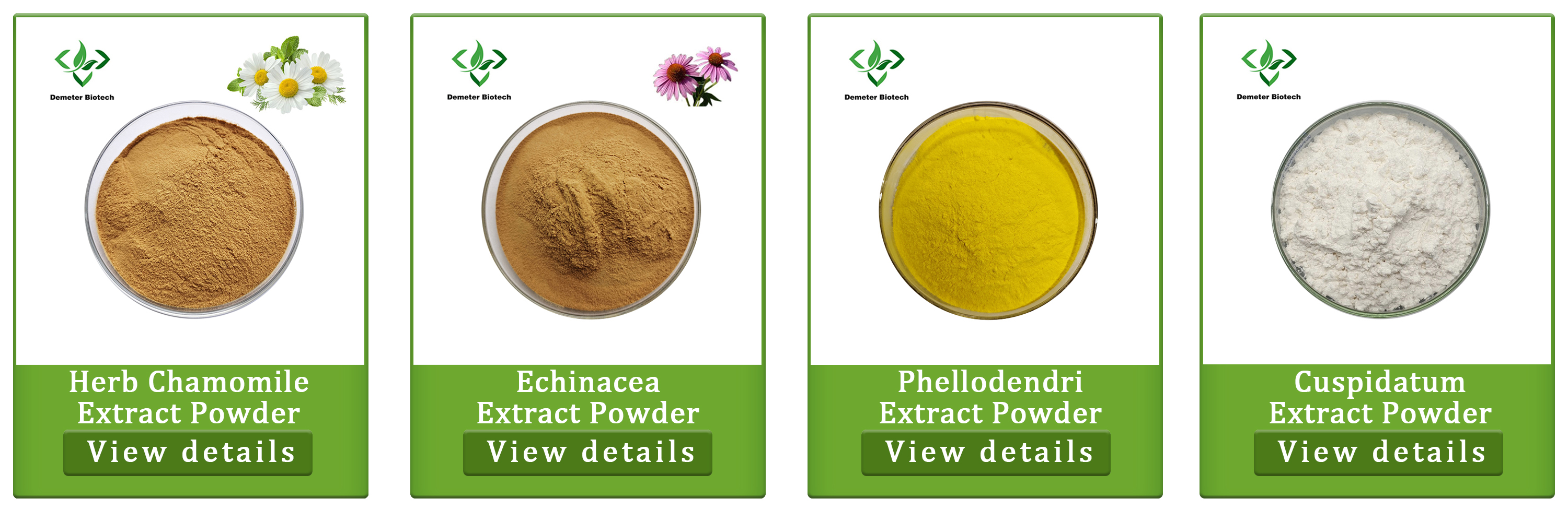 Related Product Catalog 3