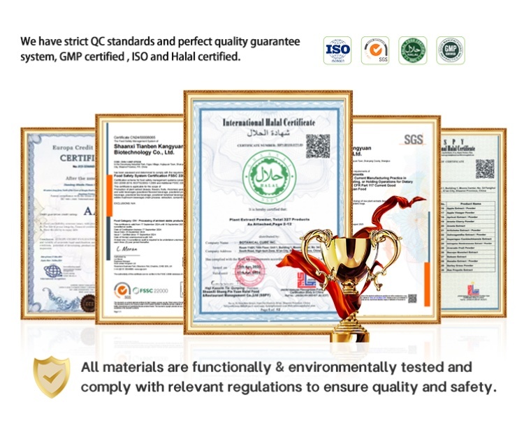 Lab Test Certificate Document