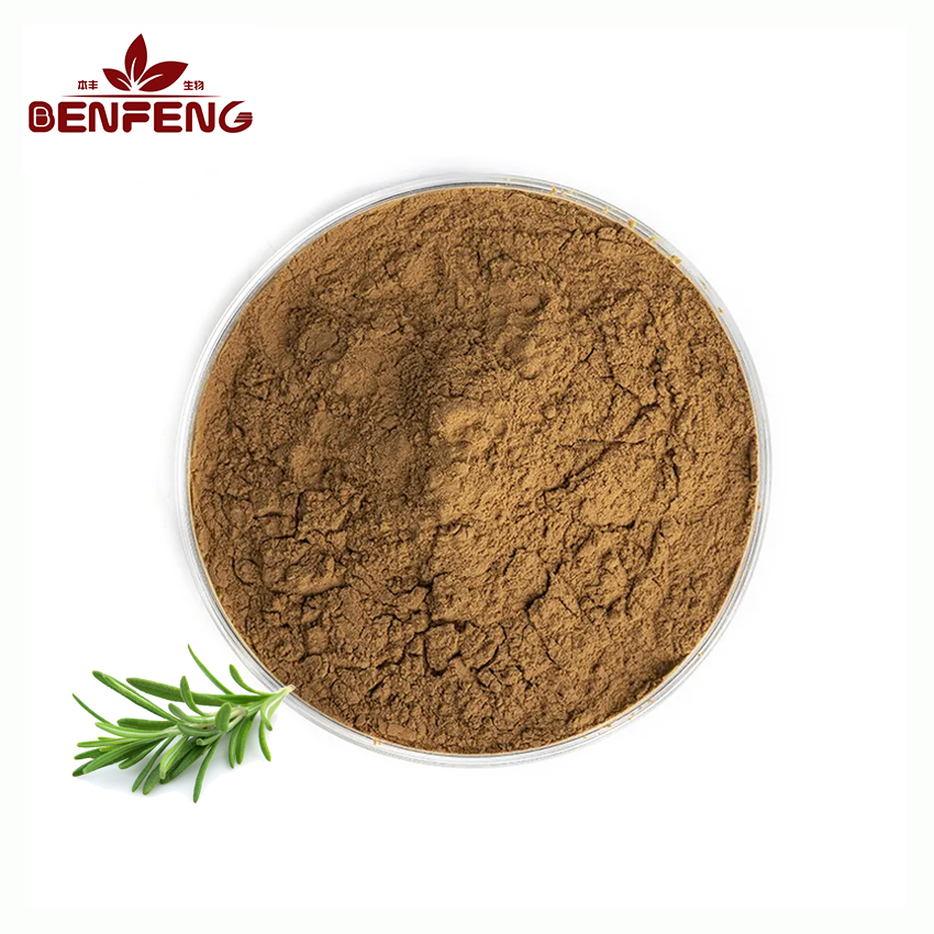 Rosemary Extract Powder