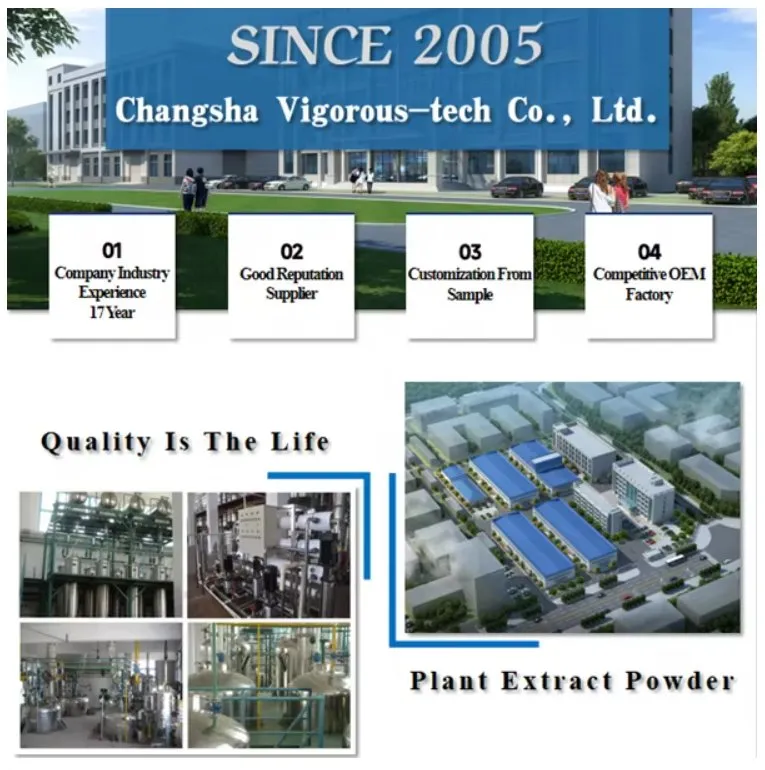 Nutraceutical Ingredient for Supplements Natural Factory Chrysanthemum Extract Powder