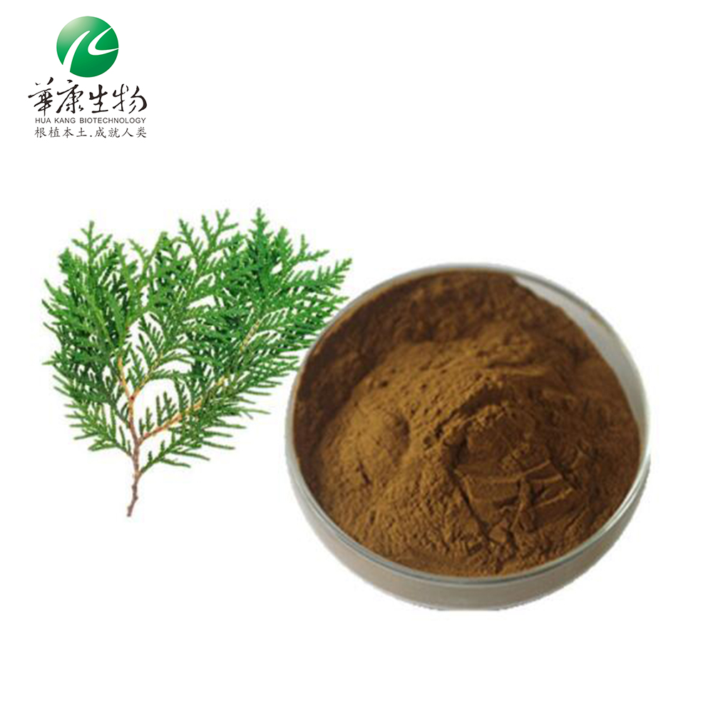 Hunan Huakang Natural Plant Hair Growth Active Ingredient Platycladus Orientalis Leaf Extract Powder