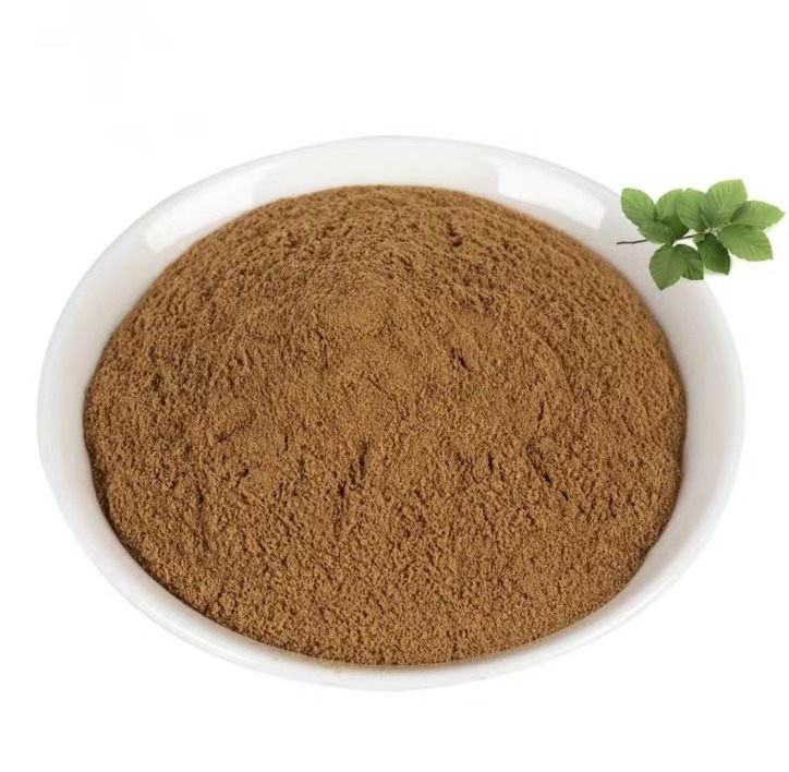 Wholesale Free Sample High Quality Food Grade Eucalyptus Leaf Extract Powder Protein 10:1 30:1 100% Pure Natural Drum Packaging