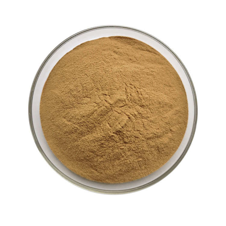 Pure Natural Organic Hericium Erinaceus Extract Lion's Mane Mushroom Powder