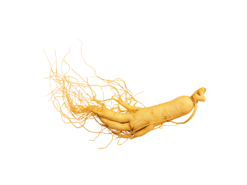 Panax Ginseng Root Extract Powder with 80% Ginsenosides Food Grade Artificial Planting Solvent Extraction Stem and Leaf Part