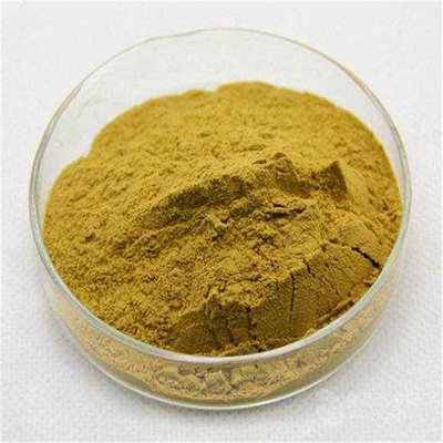 Olive Leaf Extract 10:1 Water Extract Powder 10%-80% Oleuropein Hydroxytyrosol 5% Health Food Grade
