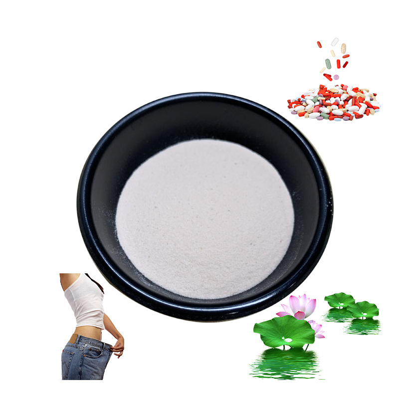 High Quality Pure Natural Lotus Leaf Extract Powder 98% Nuciferine Powder