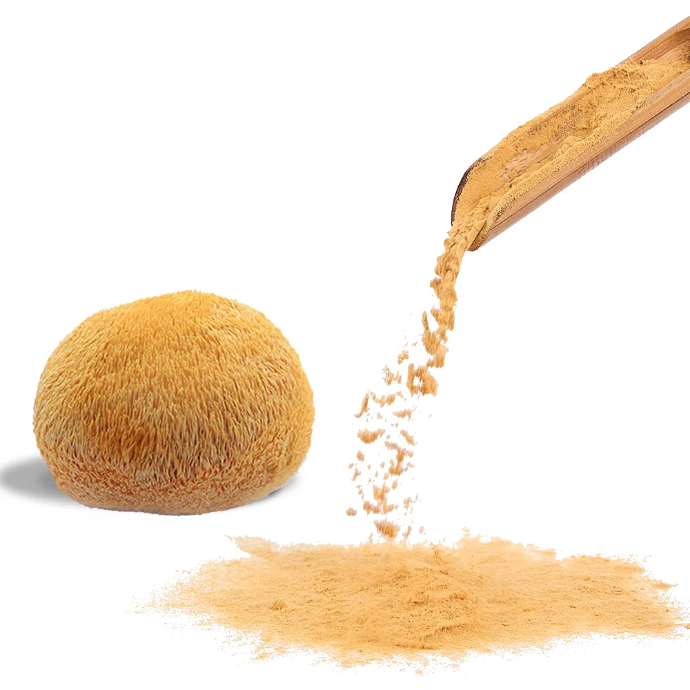 Hot Sale Liquid-Solid Extraction Food Grade Herbal Extract Brown-Yellow Lions Mane Extract