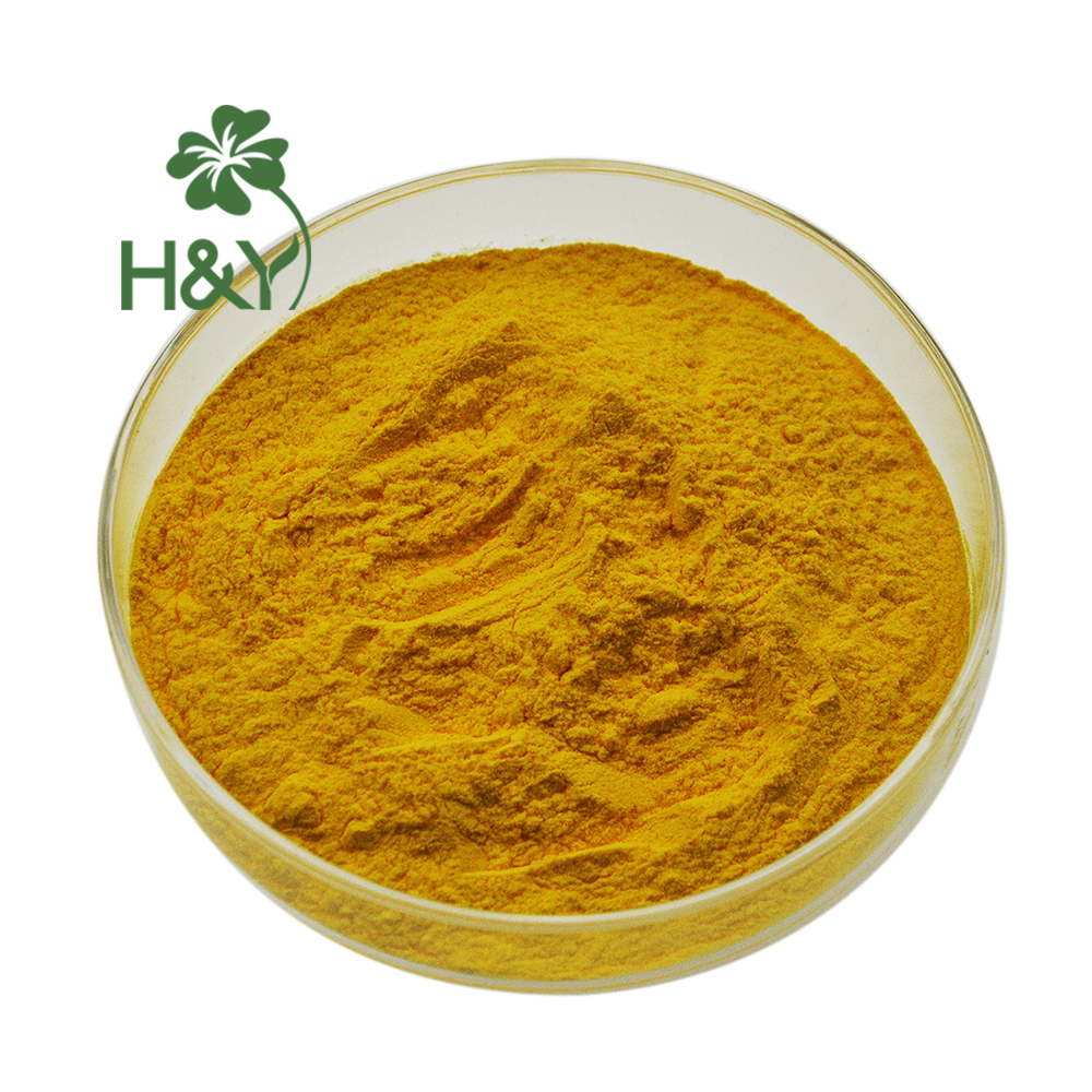 100% Pure Natural Water Soluble Turmeric 20:1 Turmeric Extract Powder