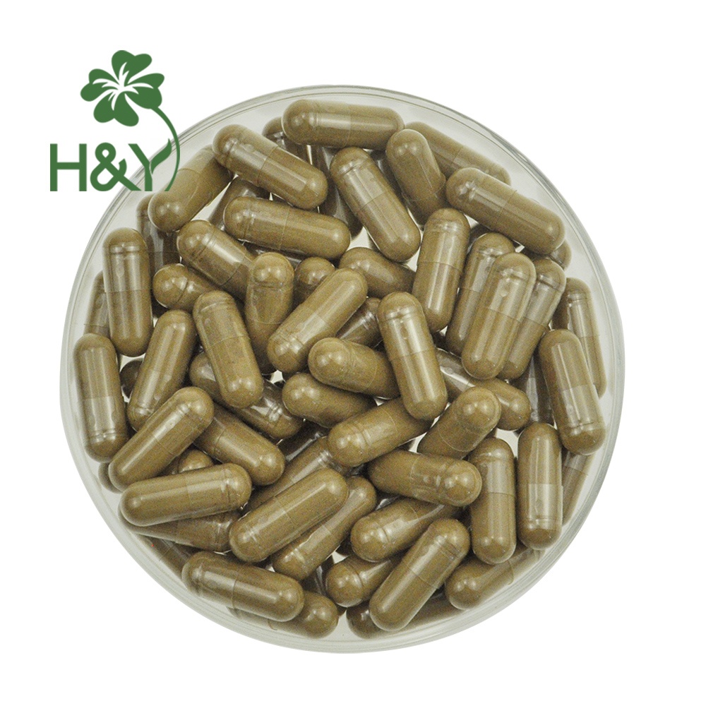 Lions Mane Capsules Lion's Mane Mushroom Extract Lions Mane Extract Powder 665mg in Stock