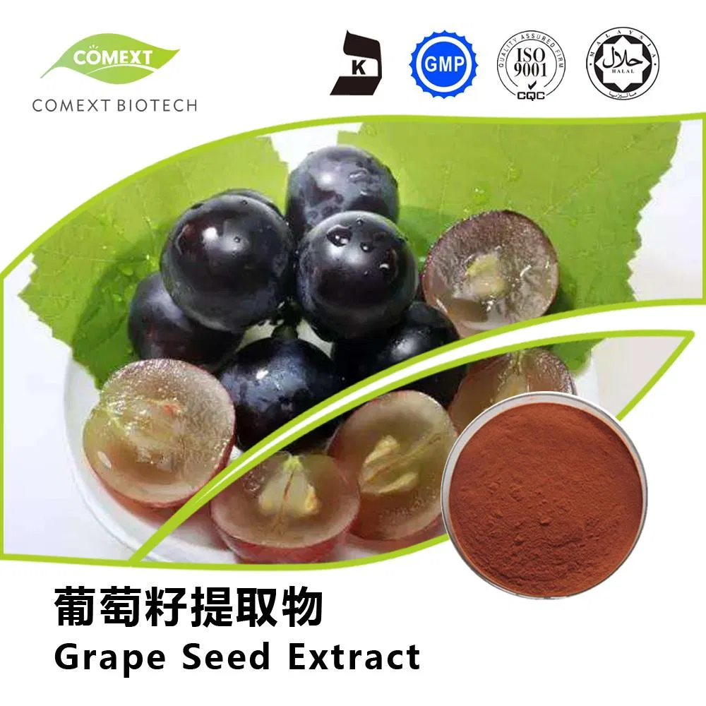 Grape Seed Extract Powder