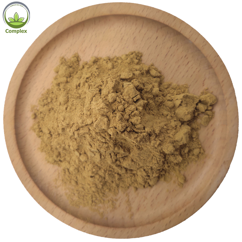 High Quality Natural Herbal Extracts Powder Tribulus Terrestris Extract