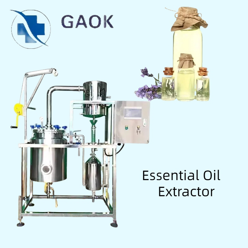 Premium Lemon Balm Essential Extract From China for Global Markets