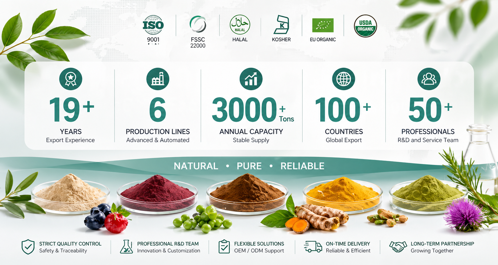 Lichen Extract Banner