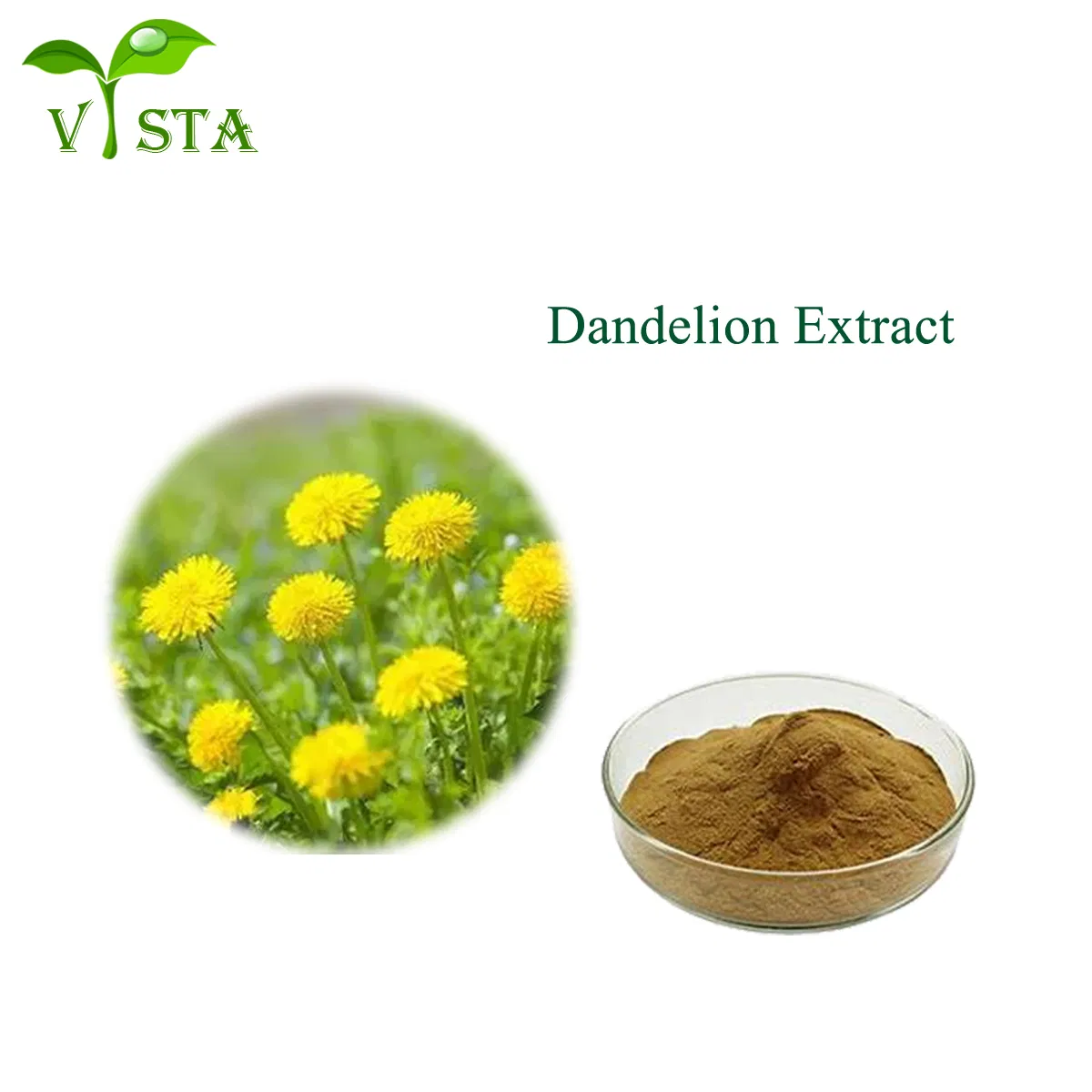 Pure Natural Herbal Extract Food Supplement Dandelion Extract Flavonoids Powder CAS 68990-74-9