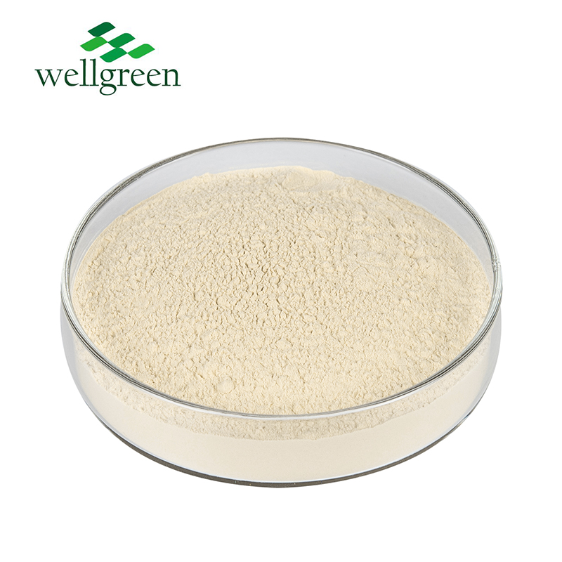 10% 50% Rosemary Leaf Extract Powder Ursolic Acid Food Grade Rosemary Extract