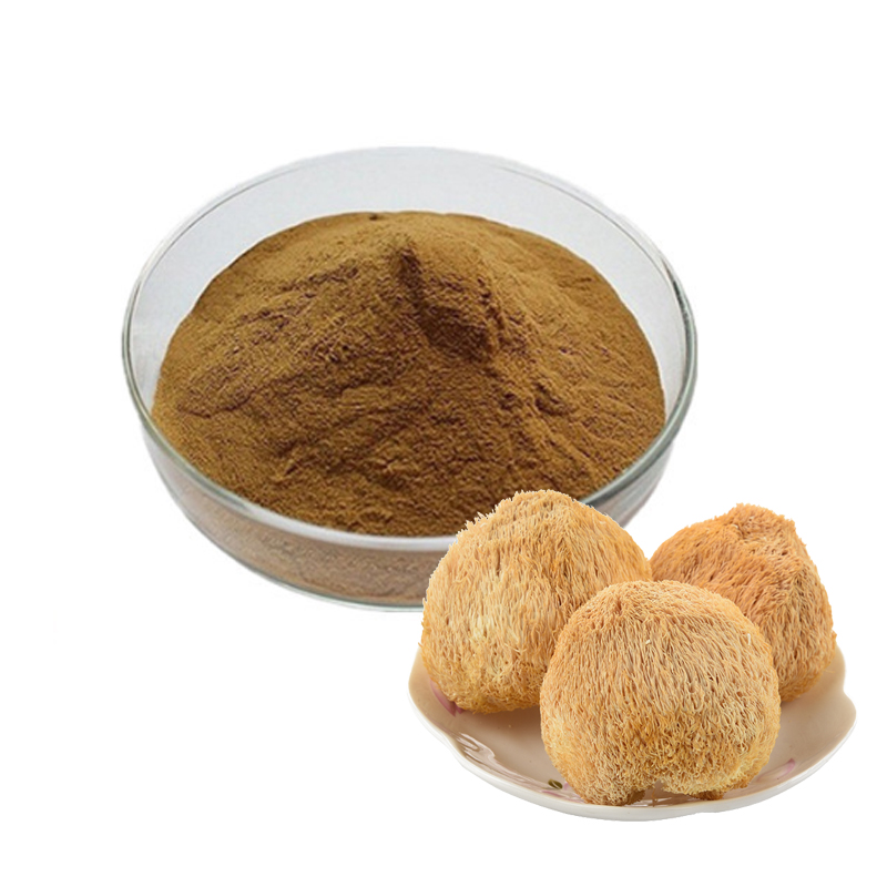 Lions Mane Capsules Organic Lions Mane Mushroom Extract