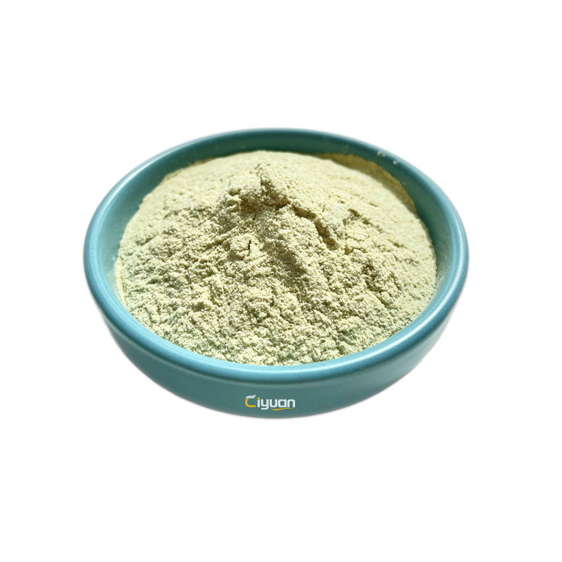 100% Natural Celery Extract Freeze Dried Vegetables Celery Extract Powder Celery Powder Factory Supply 98% Apigenin