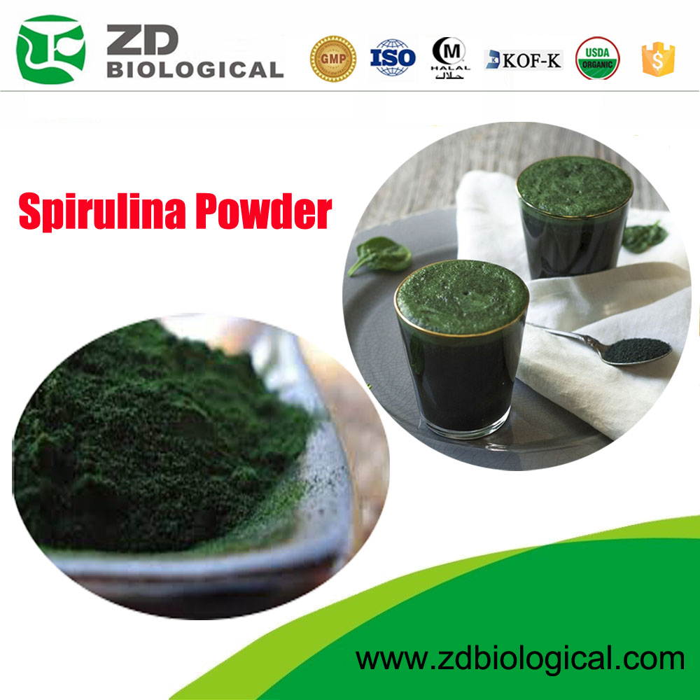 Wholesale Marine Algae Extract Blue-Green Algae Spirulina Chlorella Powder