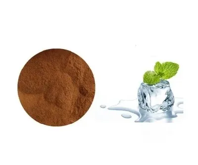 Plant Extract Water Soluble Mint Flavor Powder Natural Spearmint Extract