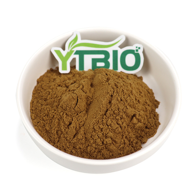 Herbal Extract Dong Quai Extract Powder Angelica Root Extract
