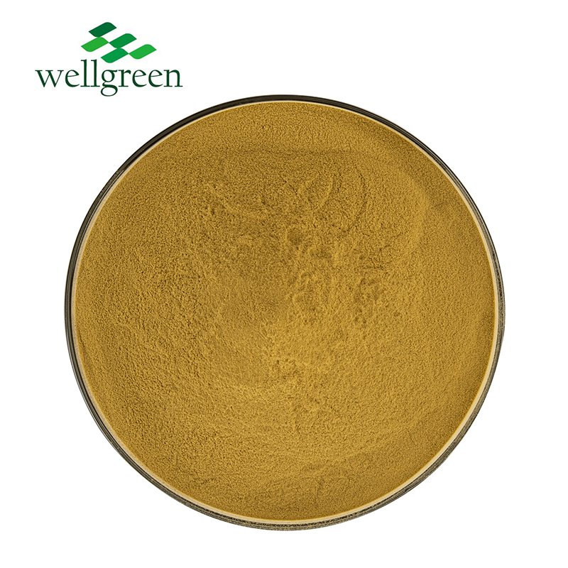 20% Oleuropein Olive Leaf Extract Powder for Dietary Supplement and Nutraceutical Use