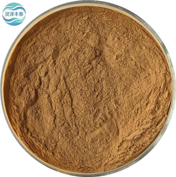 High Quality Natural Factory Price Danshen Extract Root Concentrate Powder Food Grade Drum Vacuum Packed