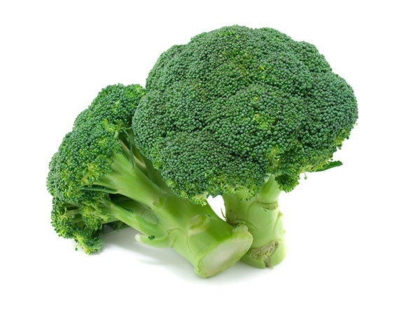 Broccoli Extract Source