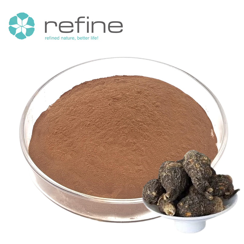 Maca Extract Powder Showcase