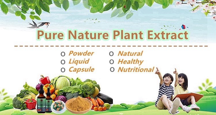 Mangosteen Extract Banner
