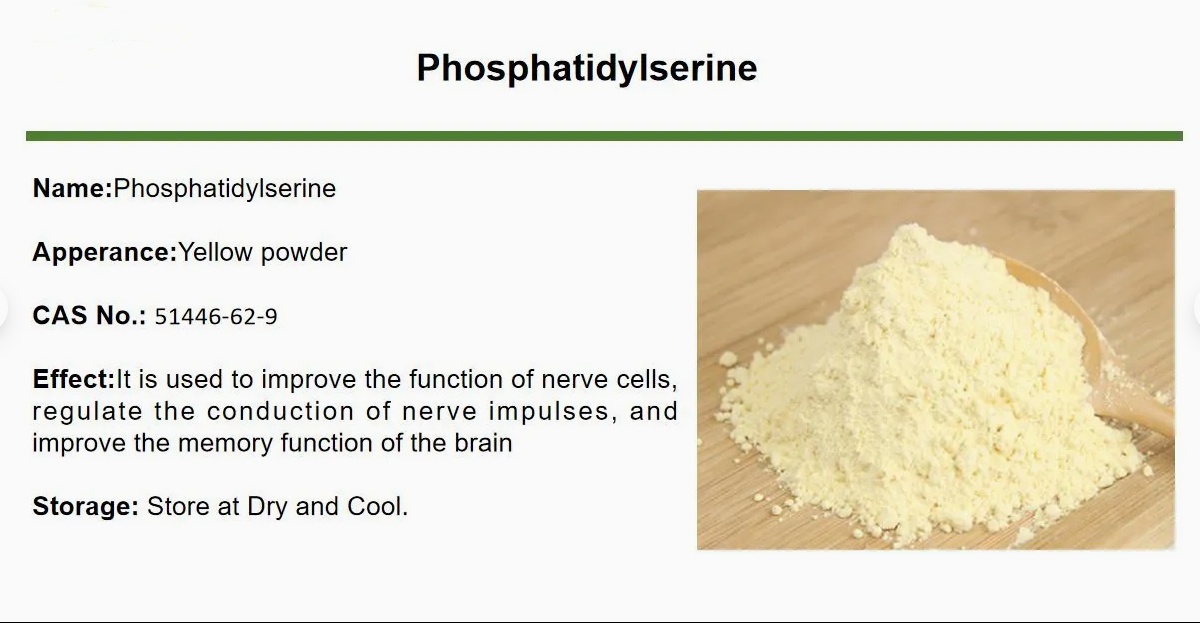 Phosphatidylserine Powder Detail 1