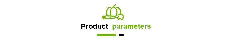 Onion Powder Quality Detail