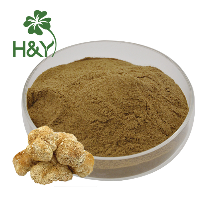 Lions Mane Capsules Lion's Mane Mushroom Extract Lions Mane Extract Powder 665mg in Stock