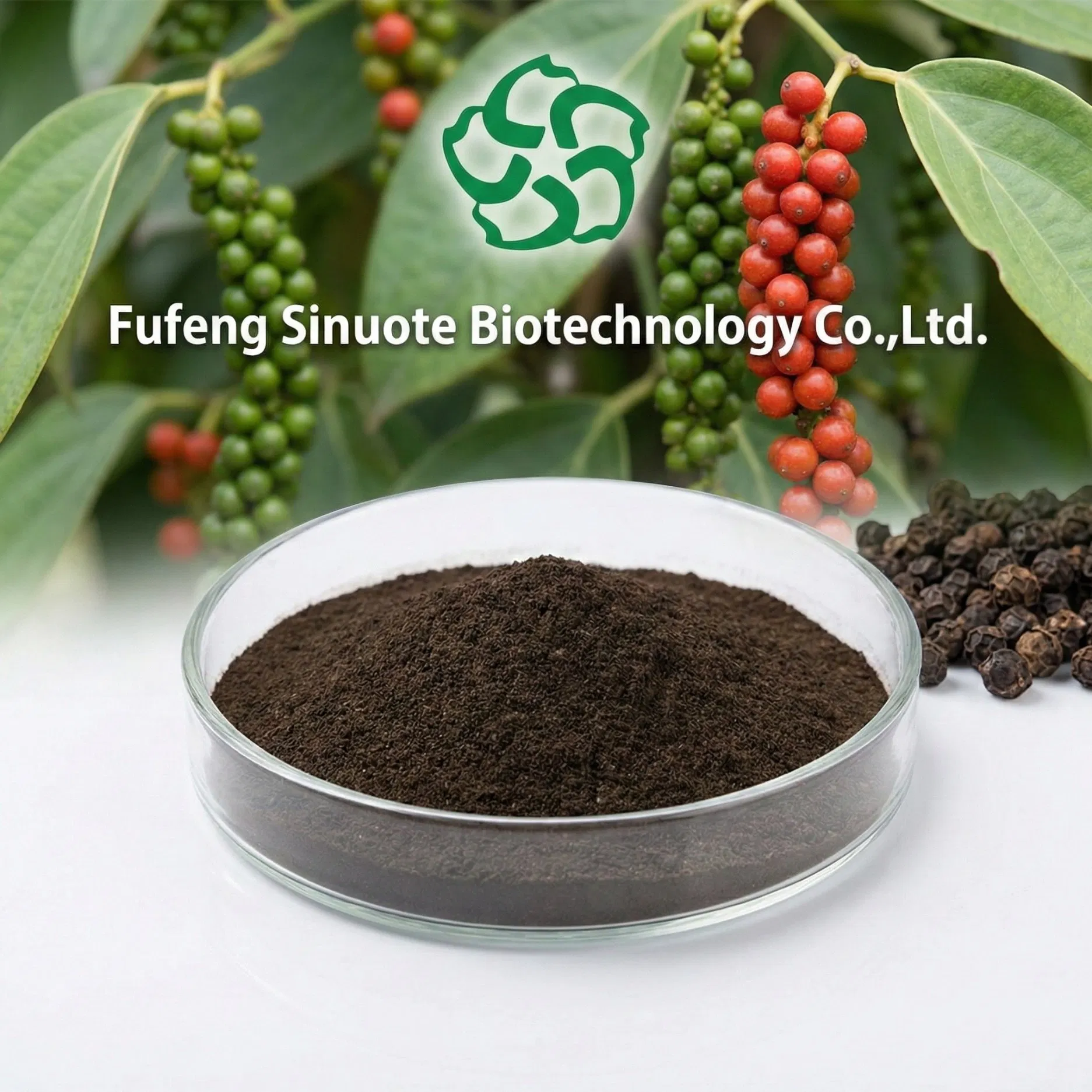 Piper Nigrum Extract Powder Black Pepper Extract (Standardized to 95% Piperine) Bioavailability Enhancer Ingredient cGMP Standard