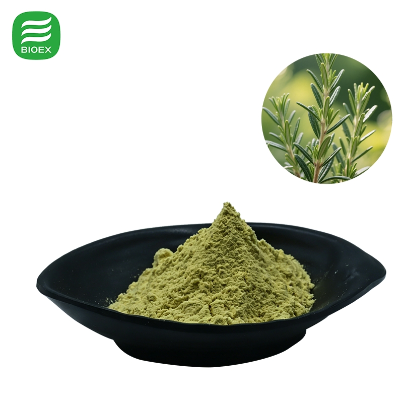 High Quality Standardized Carnosic Acid 5% 10% 20% for Cosmetics and Food Rosemary Extract