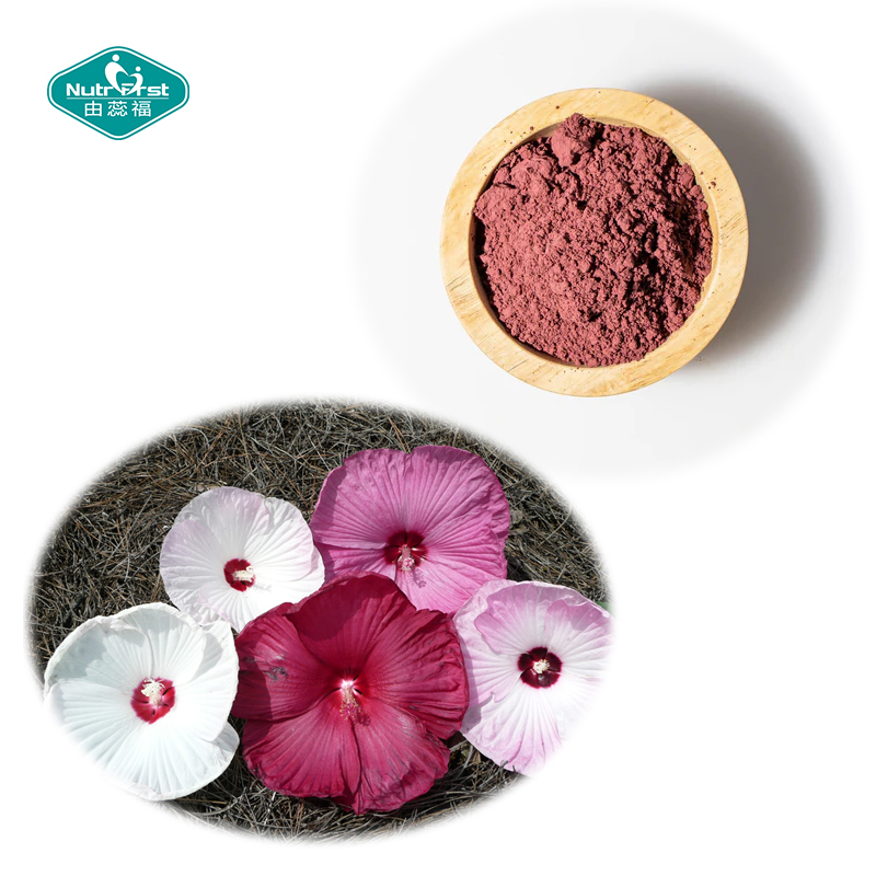 High Quality Raw Material Antioxidant Effect Hibiscus Flowers Extract 10: 1 in Bulk