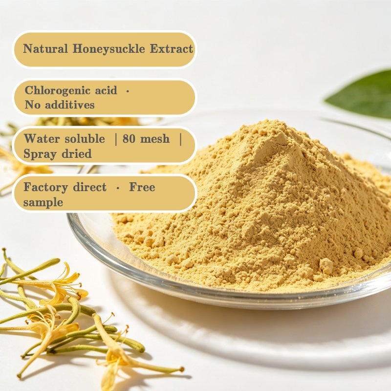 High Quality Honeysuckle Extract 25% Chlorogenic Acid by HPLC for Nutraceutical Production