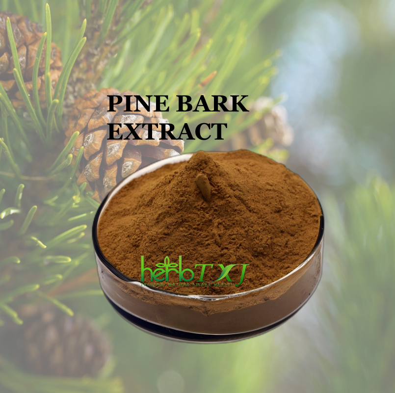 Kosher/Halal Certified Bark Extract French Maritime Plant Extract Capsules Pine Bark Extract